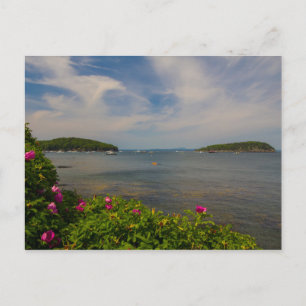 Frenchman Bay, Bar Harbour, Maine Postcard