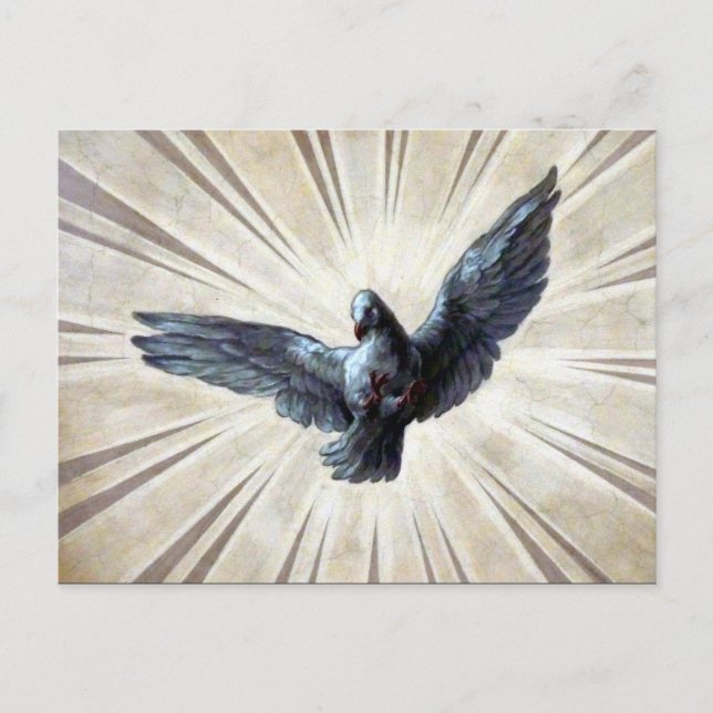 fresco dove postcard (Front)