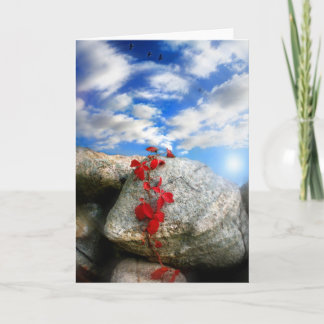 Fresh air card