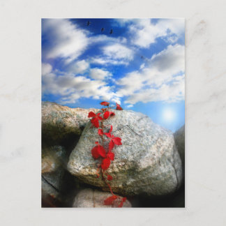 Fresh Air,post card