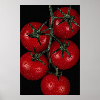 Fresh and juicy red tomatoes poster