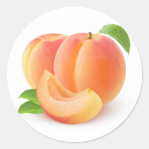 Fresh apricots classic round sticker