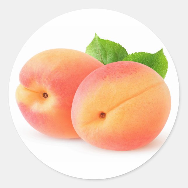 Fresh apricots classic round sticker (Front)