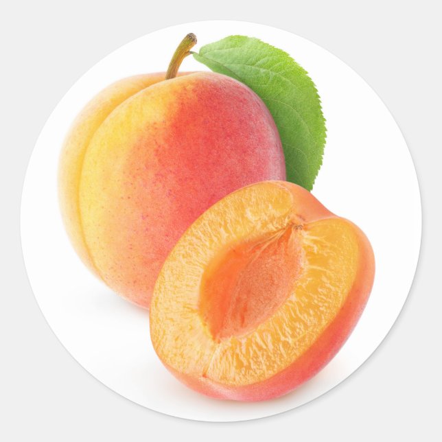 Fresh apricots classic round sticker (Front)