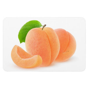 Fresh apricots magnet
