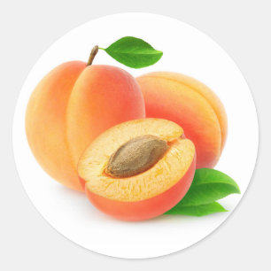 Fresh apricots with leaves classic round sticker