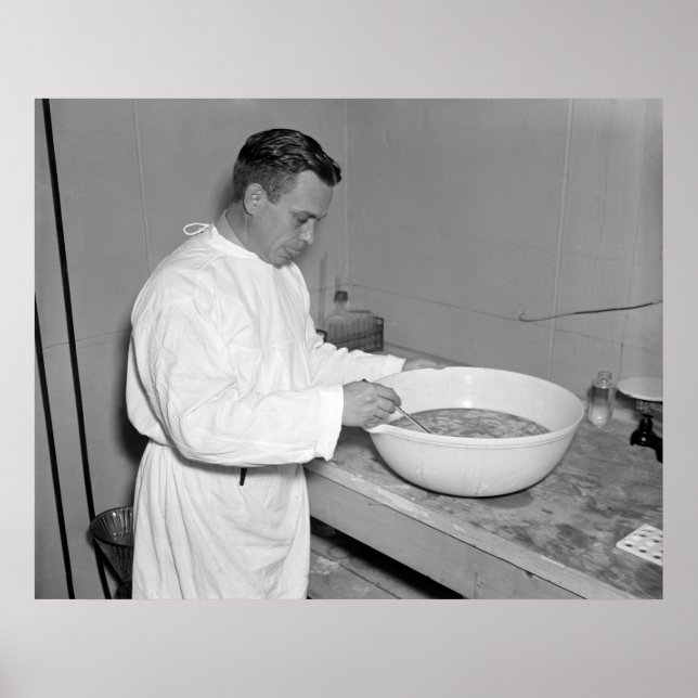 Fresh Batch of Pneumonia Vaccine: 1937 Poster (Front)