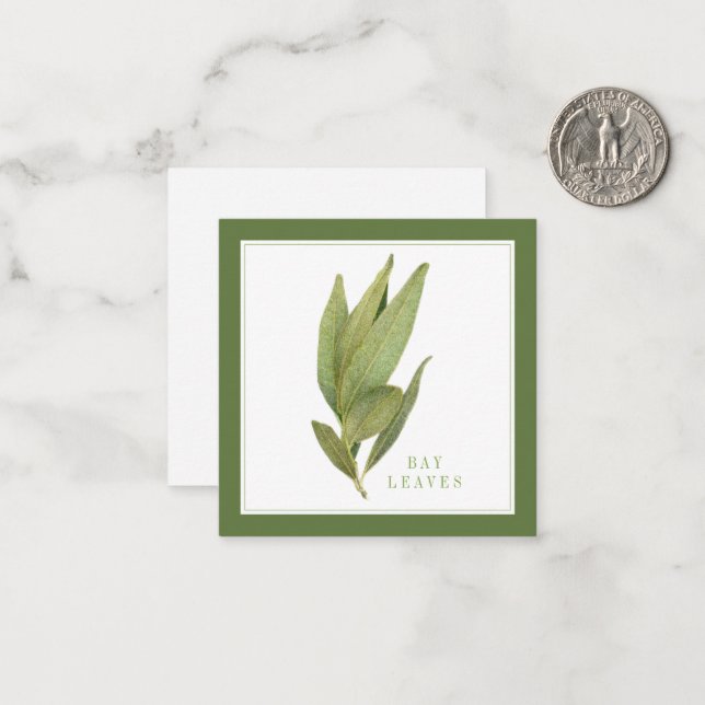 FRESH BAY LEAVES 2.5" Square Flat Card / Green (Front/Back In Situ)