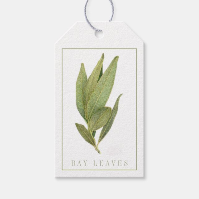 Fresh Bay Leaves Gift Tags (Front)