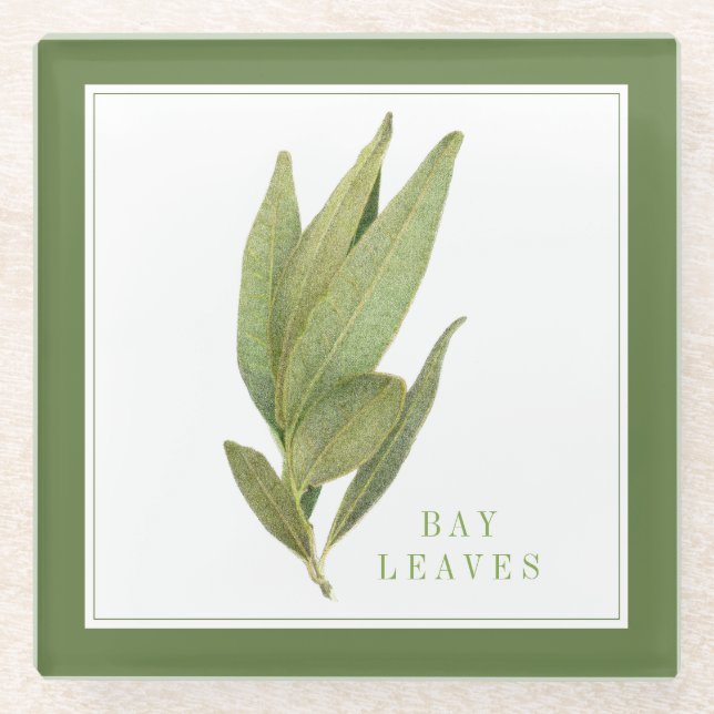 FRESH BAY LEAVES Glass Coaster (+text) Green (Front)