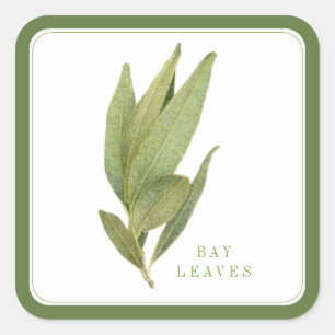 FRESH BAY LEAVES Large Square Stickers - Green