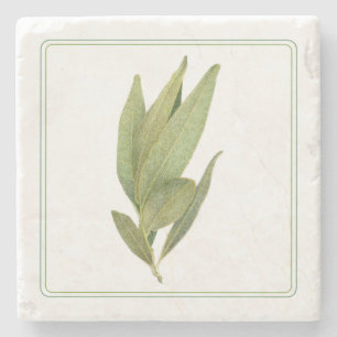 FRESH BAY LEAVES Marble Stone Coaster (-text)
