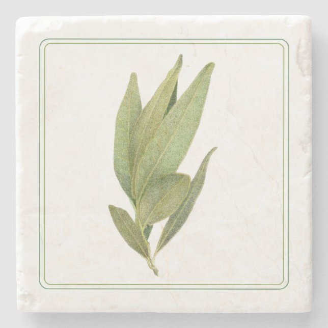FRESH BAY LEAVES Marble Stone Coaster (-text) (Front)