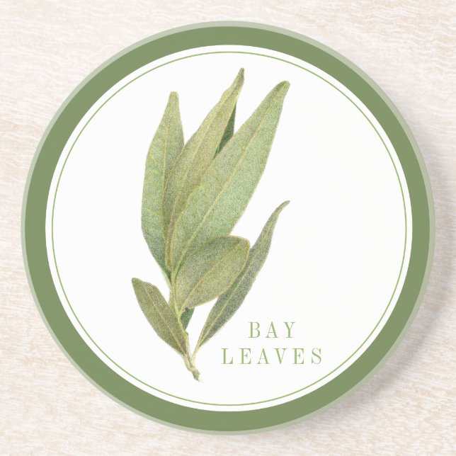 FRESH BAY LEAVES Sandstone Coaster (+text) Green (Front)