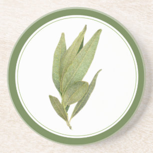 FRESH BAY LEAVES Sandstone Coaster (-text) Green