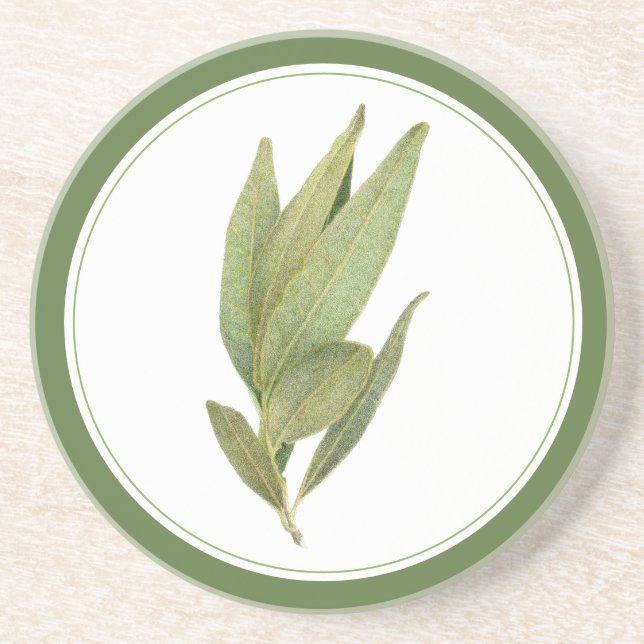 FRESH BAY LEAVES Sandstone Coaster (-text) Green (Front)