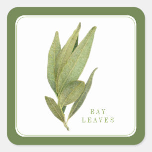 FRESH BAY LEAVES Small Square Stickers - Green
