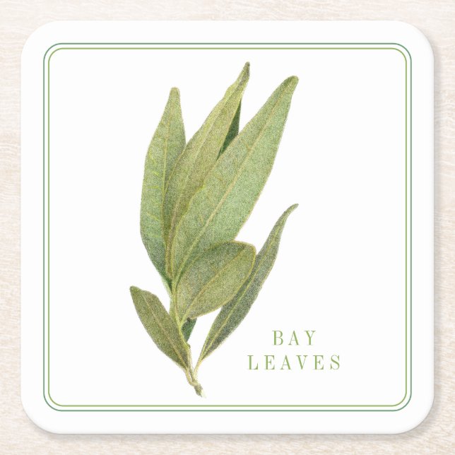 FRESH BAY LEAVES Square Paper Coasters (+text) (Front)