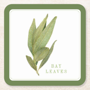 FRESH BAY LEAVES Square Paper Coasters +text Green