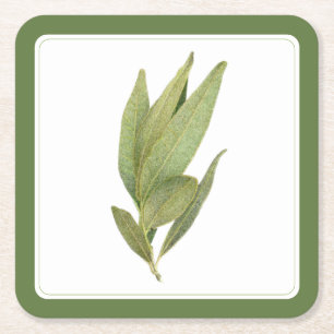 FRESH BAY LEAVES Square Paper Coasters -text Green