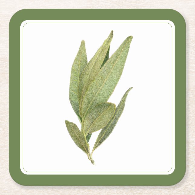 FRESH BAY LEAVES Square Paper Coasters -text Green (Front)