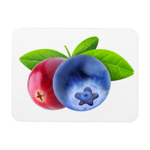 Fresh berries magnet