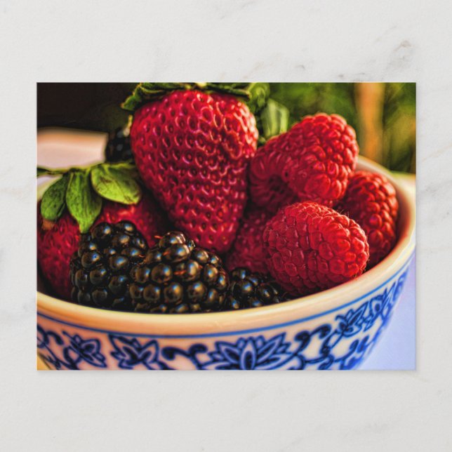 Fresh Berries Postcard (Front)