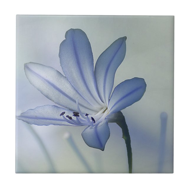 Fresh Blue Flower Photo Tile (Front)
