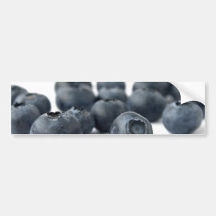 Fresh Blueberries Bumper Sticker