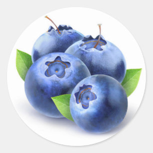 Fresh blueberries classic round sticker