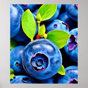 Fresh Blueberries Close-Up Poster
