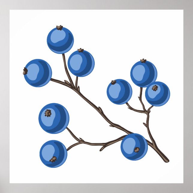 Fresh Blueberries On A Branch Poster (Front)