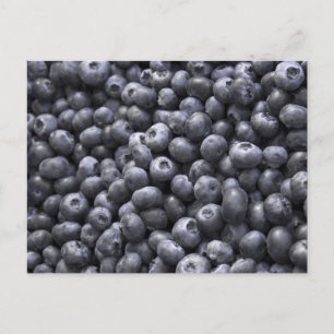 Fresh blueberries postcard
