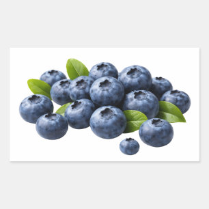 Fresh Blueberries with Leaves Sticker