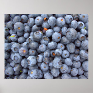 Fresh blueberry photography poster