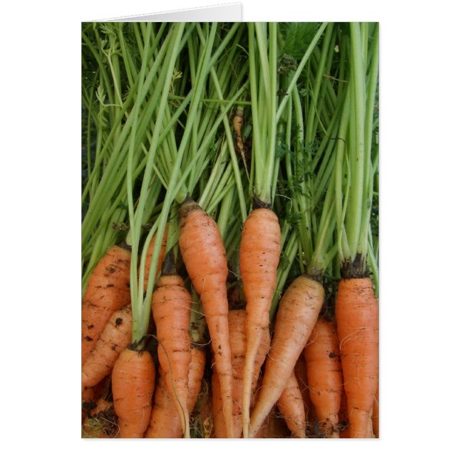 Fresh Carrots Vegetable Card (Front)