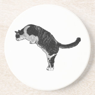 Fresh Cat Energy Coaster