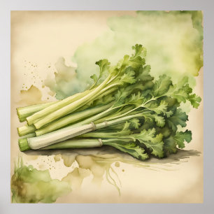 Fresh Celery Bunch Watercolor Poster