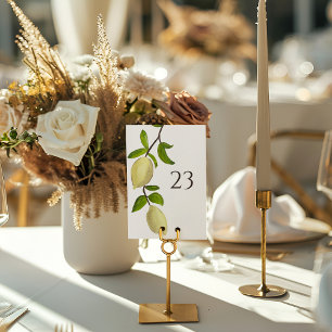 Fresh Citrus Painted Lemons Modern Mediterranean Table Number