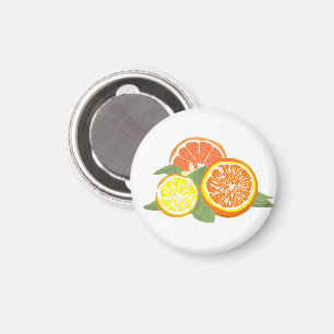 Fresh Citrus Slices Orange Lemon Magnet