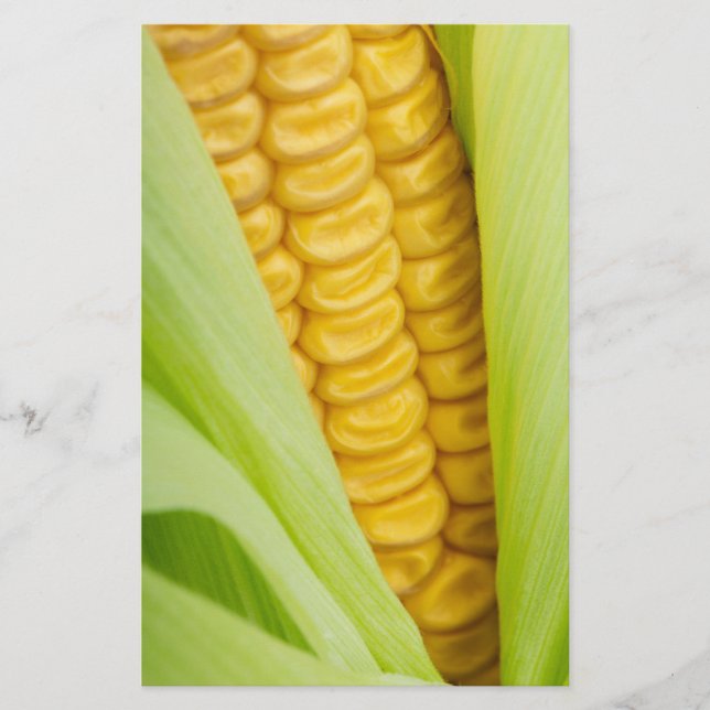 Fresh Corn custom flyers (Front)