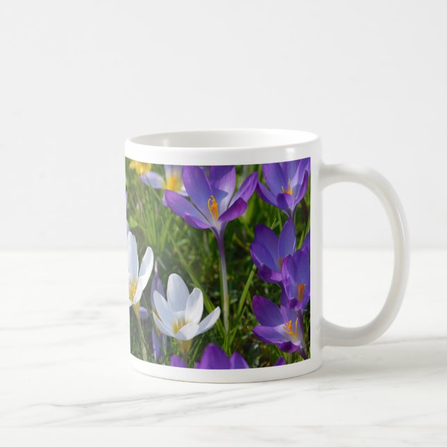 Fresh crocuses of different colours coffee mug (Right)