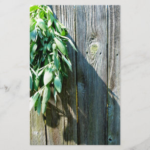 Fresh-cut Sage Barn-wood