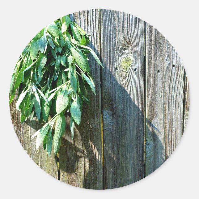 Fresh-cut Sage Barn-wood Classic Round Sticker (Front)