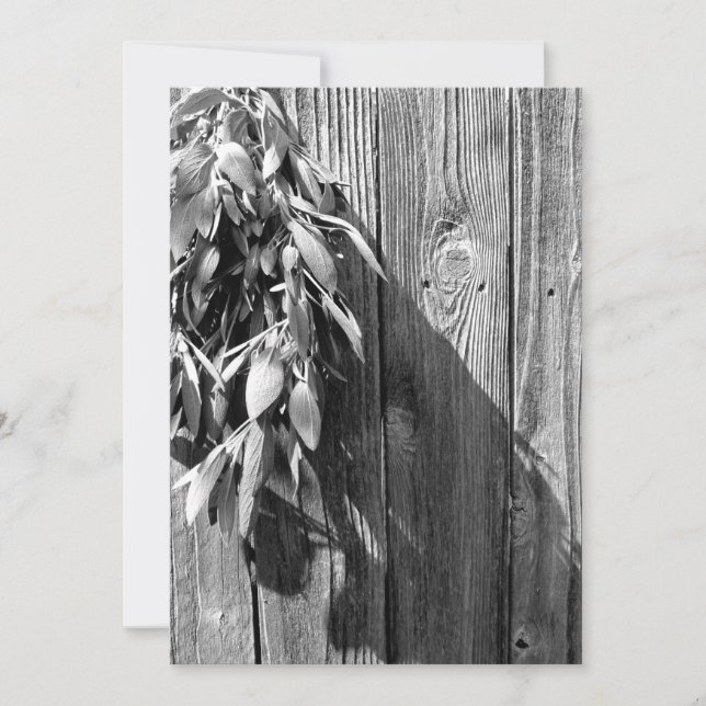 Fresh-cut Sage Barn-wood Grayscale (Front)
