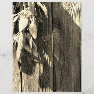 Fresh-cut Sage Barn-wood Grayscale