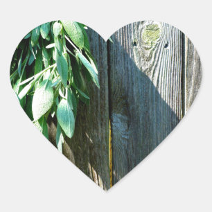 Fresh-cut Sage Barn-wood Heart Sticker