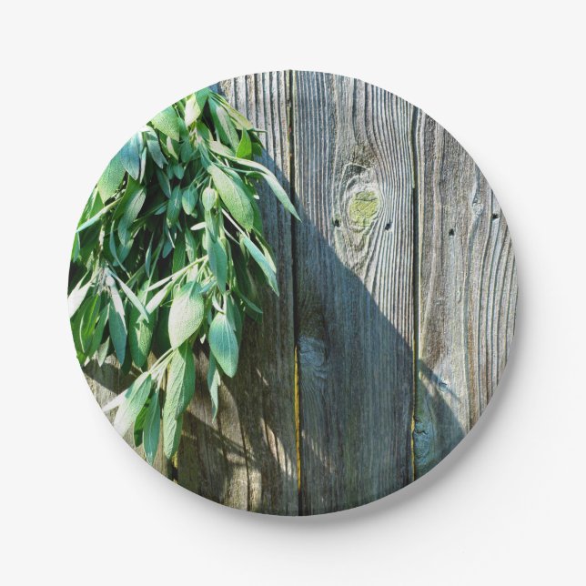 Fresh-cut Sage Barn-wood Paper Plate (Front)
