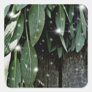 Fresh-cut Sage Barn-wood Twinkle Lights Square Sticker