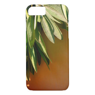 Fresh-cut Sage Case-Mate iPhone Case